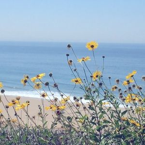 Family Vacation until June 1,2021